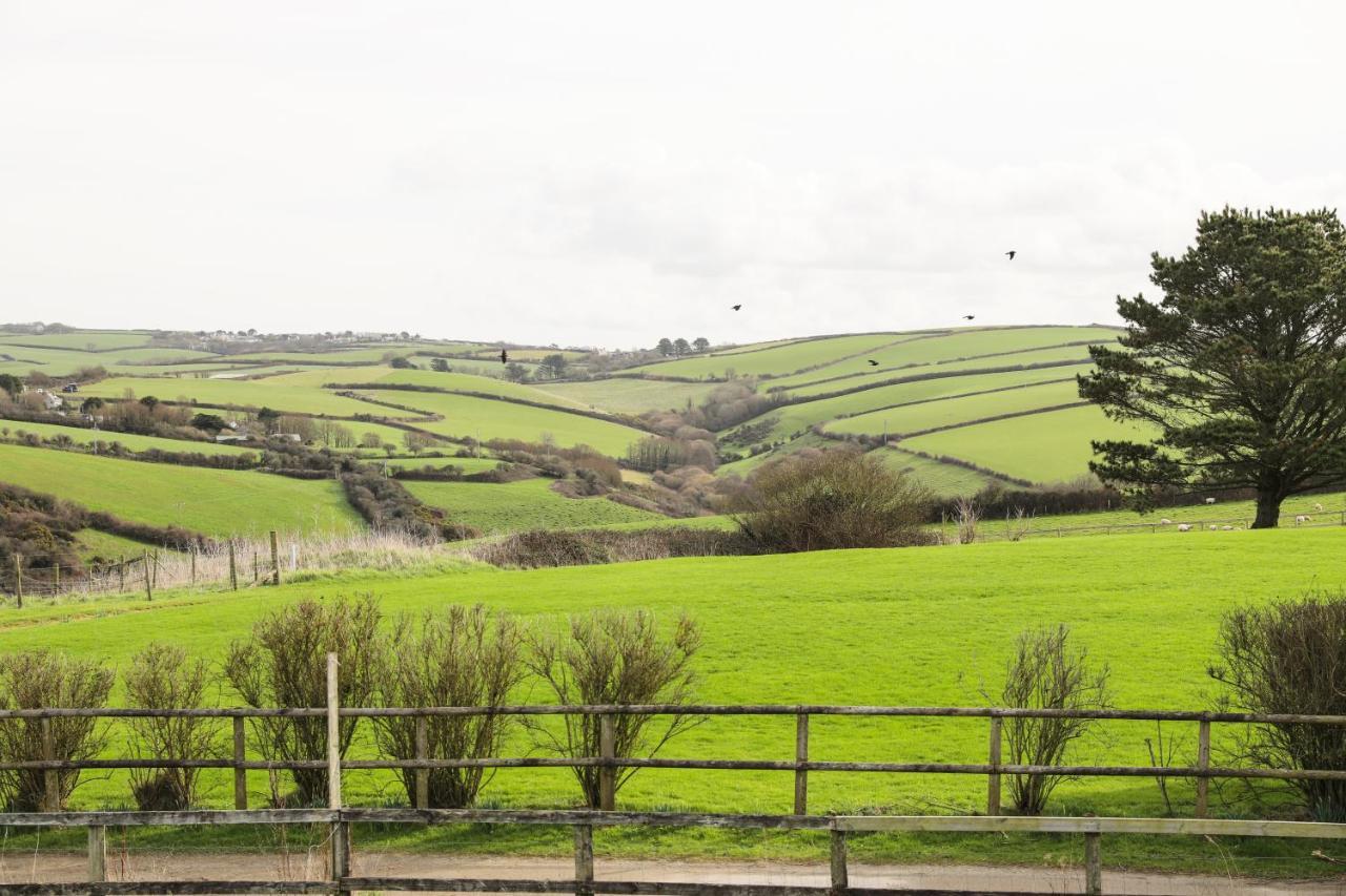 Northlight, Port Isaac Bay Holidays Экстерьер фото